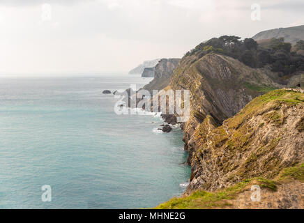 Blick auf die scherkräfte seitig Klippen entlang der Jurassic Coast von Lulworth Cove Durdle Door, Dorset, England gesehen. Stockfoto