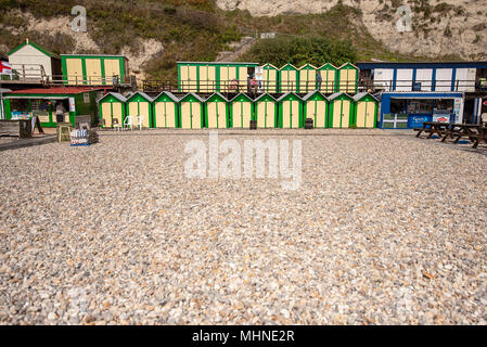 Eine Reihe von frisch gestrichenen traditionelle hölzerne Badekabinen am unteren Rand der weißen Kreidefelsen vor der Kieselstrand von Bier, Devon, Großbritannien. Stockfoto