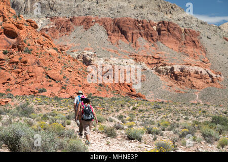 Leute, die für eine hie an einem sonnigen Tag. Stockfoto
