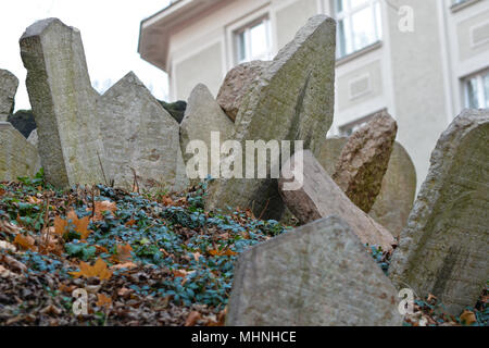 Die 12.000 Grabsteine auf dem Alten Jüdischen Friedhof in Prag zerbröckeln und mit Efeu, gestürzt und zusammengefasst. Stockfoto