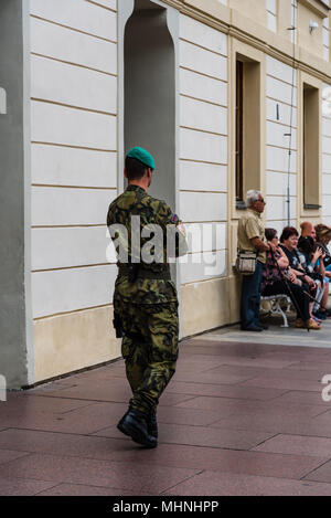 Prag, Tschechische Republik - 19 August 2017: Soldat bewacht die Königlichen Palast von Prag. Stockfoto