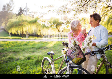 Schönes älteres Ehepaar mit Fahrräder außerhalb im Frühjahr die Natur. Stockfoto