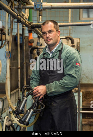 Landwirt Kühe melken Stockfoto