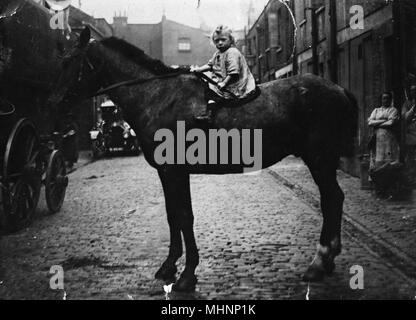 Familie mit Pferden, Huntsworth Mews, Marylebone, London - ein Kleinkind sitzt auf einem Pferd. Datum: ca. 1910 Stockfoto