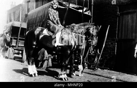 Familie mit Pferden, Huntsworth Mews, Marylebone, London - eine Frau sitzt auf einem Pferd, mit einem kleinen Hund an der Seite. Datum: ca. 1910 Stockfoto