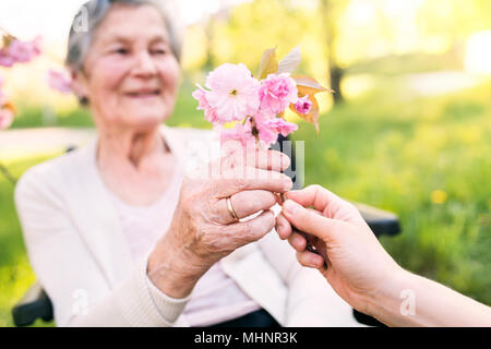 Ältere Großmutter im Rollstuhl mit Enkelin im Frühjahr die Natur. Stockfoto