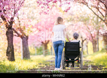 Ältere Großmutter im Rollstuhl mit Enkelin im Frühjahr die Natur. Stockfoto