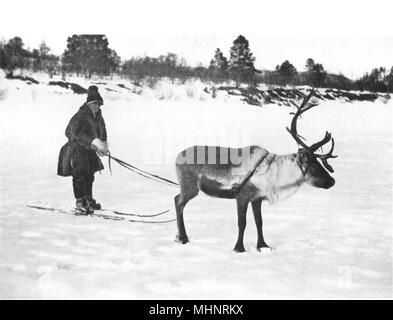 Finnland. Fahren auf Skiern, Lappland; Lappen fahren Rentier 1900 alten Drucken Stockfoto