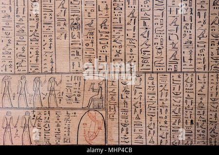 Alte ägyptische Hieroglyphen auf Papyrus Stockfoto