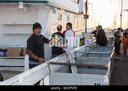 SAN DIEGO, USA, 17. November 2015 - Fischerboot entladen Gelbflossenthun am Hafen Pier bei Sonnenaufgang, Ziel ist der lokale Markt Stockfoto