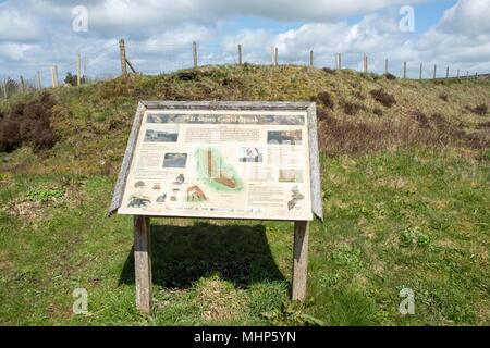 Informationen Zeichen an rossendale's Panoptikum, "Halo", ist ein 18 m Durchmesser Gitterstruktur Stockfoto