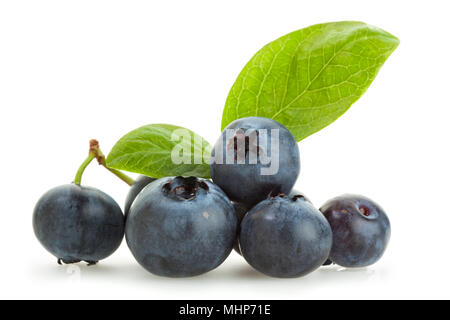 Blaubeeren mit ihren Blättern auf weißem Hintergrund Stockfoto