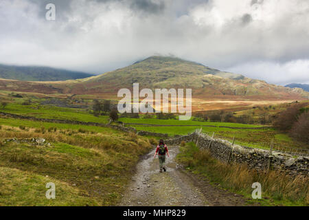 Eine junge Frau, die zu Fuß auf einem unaufgeräumten Lane in der Nähe von torver mit dem alten Mann von Coniston jenseits im Nationalpark Lake District, Cumbria, England. Stockfoto