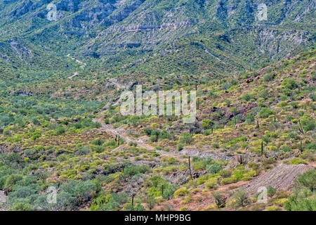 Baja California desert endlose Straße Landschaft Panorama Stockfoto