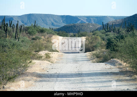 Baja California desert endlose Straße Landschaft Panorama Stockfoto