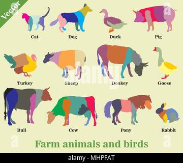 Der Vektor buntes Mosaik Bauernhof Tiere und Vögel (Hund, Katze, Kuh, Türkei, Esel, Schweine, Kaninchen, Gänse, Schafe, Enten, Bull) Silhouetten auf isolierte Stock Vektor