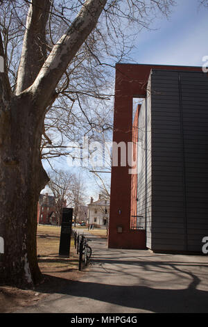 Ein Fahrrad direkt vor dem Kunstmuseum am Smith College in Northampton, Massachusetts geparkt. Stockfoto