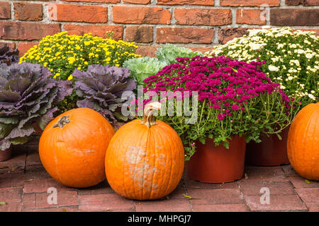 Herbst Dekorationen: natürliche Kürbisse und Mamas auf dem Backstein Stein Innenhof angeordnet sind. Farbe für die Jahreszeit und Schönheit für Dekoration. Stockfoto