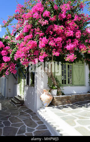 Traditionelle Architektur mit weißen Haus und Bougainvillea in Kythnos Insel, Griechenland Stockfoto