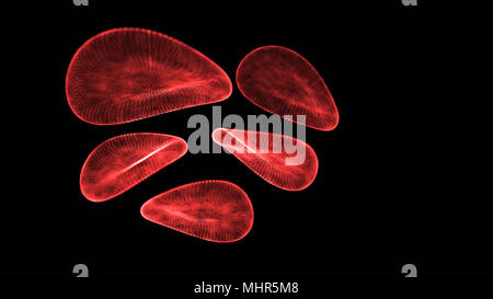 Rote Blutkörperchen Drahtmodell Hologramm künstliche Intelligenz Technologie Konzept auf schwarzem Hintergrund. 3D-Rendering Stockfoto