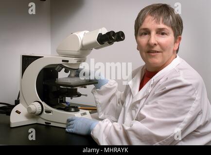 Mitten zur Krankheit-Steuerung Meningitis und Special Pathogens Branch (MSPB) laboratorian, Sandra Bragg, vor einem Mikroskop, 2005 sitzen. Mit freundlicher Seuchenkontrollzentren (CDC)/Maryam I. Daneshvar. () Stockfoto