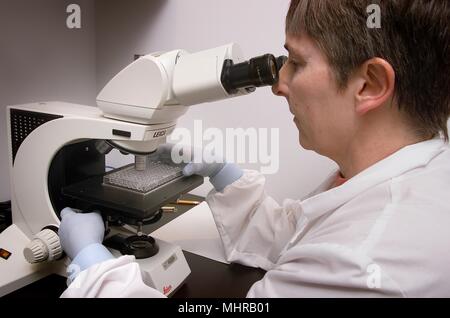 Mitten zur Krankheit-Steuerung Meningitis und Special Pathogens Branch (MSPB) laboratorian, Sandra Bragg, mit einem Mikroskop, 2005. Mit freundlicher Seuchenkontrollzentren (CDC)/Maryam I. Daneshvar. () Stockfoto