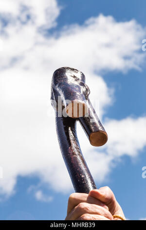 Männliche Hand mit einem Shillelagh Stockfoto