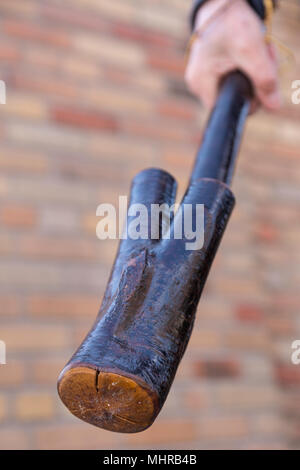 Männliche Hand mit einem Shillelagh Stockfoto