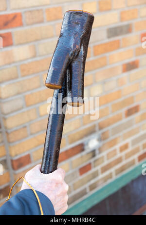 Männliche Hand mit einem Shillelagh Stockfoto