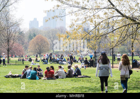 Personen, die im Frühling im Central Park, New York City, USA Stockfoto
