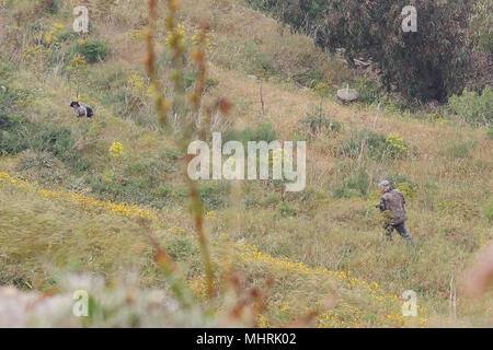 12 April 2018, Malta, Rabat: ein Jäger und sein Hund sind Suche nach Wachteln. Malta ist das einzige Land in der Europäischen Union, mit der Vogeljagd im Frühling. In diesem Jahr jedoch die Jagd auf Wachteln nur eingeschränkt. Foto: Lena Klimkeit/dpa Stockfoto