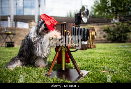 03. Mai 2018, Deutschland, Dortmund: Tom Tom die Tibetische Terrier Bastard eine alte Kamera vor der "Hund und Katz 2018 Hund und Katze" (2018) zeigen, die von 11. - 13. Mai behild. Foto: Guido Kirchner/dpa Quelle: dpa Picture alliance/Alamy leben Nachrichten Stockfoto