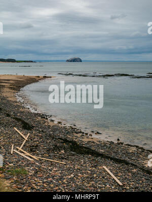 Ravensheugh Sands, East Lothian, Schottland, Vereinigtes Königreich, 2. Mai 2018. Niemand am Strand über den Firth von weiter in Richtung Bass Rock, Heimat der weltweit größten Northern gannet Kolonie. Planken von Holz liegen noch bis nach Verschütten von Frachter friesischen Dame, die das Holz Bundles bei strengem Wetter am 2. März während des Tieres aus dem Osten wetter Fall verloren gewaschen Stockfoto