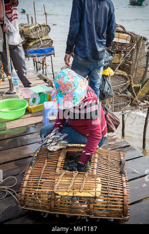 Kambodschanische Dame, die auf dem Krabbenmarkt in Krong Kaeb, Provinz Kep, Kambodscha lebende Krabben aus ihrem Netz auswählt, Reisen und Tourismus in Asien, Street Life Stockfoto