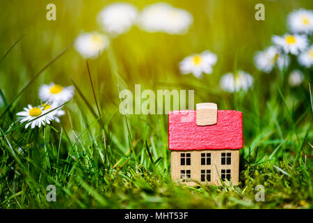 Miniaturhaus im Gras Stockfoto