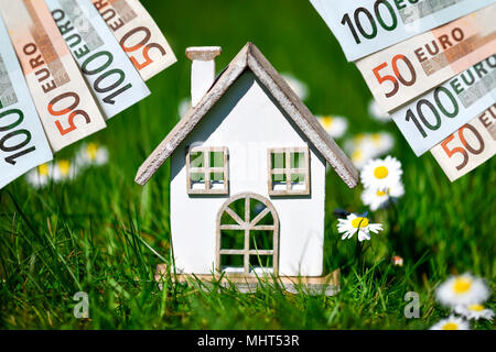 Miniaturhaus im Gras und Euro-banknoten Stockfoto