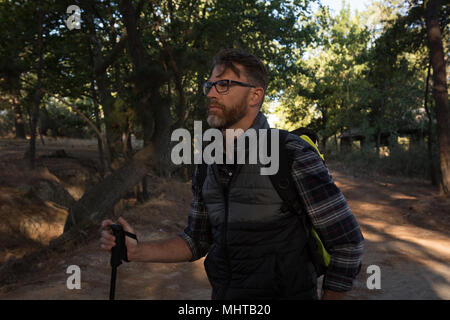 Männliche Wanderer im Wald Straße Stockfoto