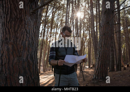 Mann, Blick auf die Karte im Wald Stockfoto
