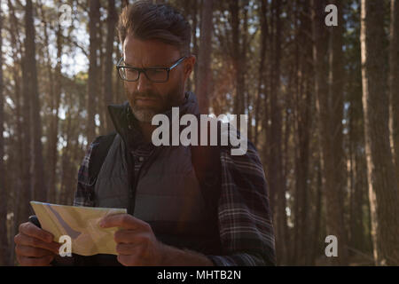 Mann, Blick auf die Karte im Wald Stockfoto