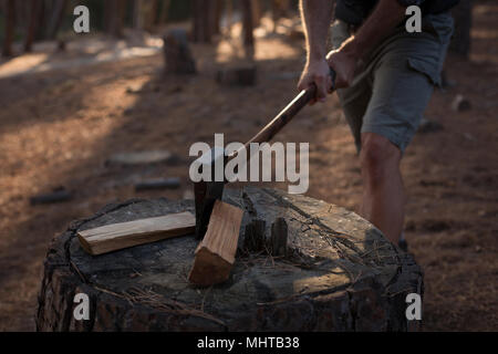 Holzfäller Brennholz Rundholz mit Axt im Wald Stockfoto