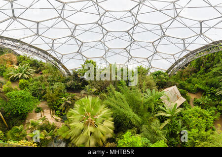 Das Eden Projekt, von der Aussichtsplattform der Rainforest biome. Stockfoto