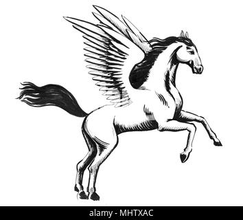 White Pegasus. Tinte schwarz und weiß Abbildung: Stockfoto