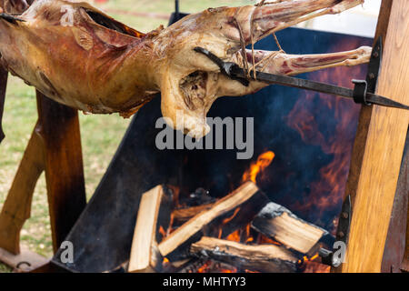 Körper Lamm am Spieß gebraten über dem offenen Feuer. Golden Brown Fleisch, Tropfen heißem Fett. Brennen Brennholz und Wolken von Rauch. Zubereitung von Speisen in einem mittelalterlichen Stockfoto