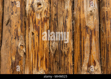 Grunge alten Holz- wand der Entrindeten Pine Tree trunks. Grobe geknotet Textur von brauner Farbe Stockfoto