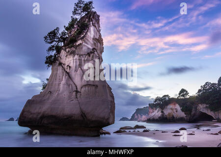 Te Hoho Rock bei Sonnenaufgang an der Cathedral Cove, Coromandel. Stockfoto