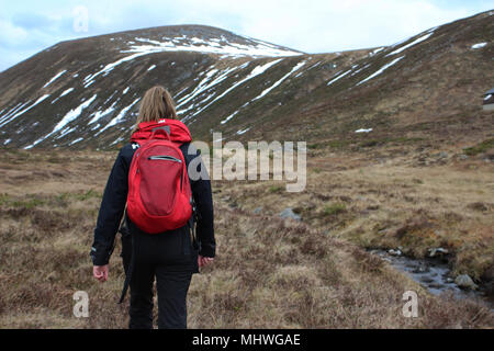 Genießen Sie eine Wanderung auf einem Berg in Norwegen. Stockfoto