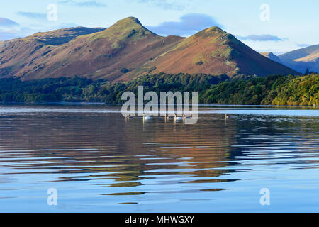 Blick nach Westen über Derwent Water von Keswick im Nationalpark Lake District in Cumbria, England Stockfoto