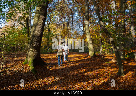 Senior paar Spaziergänge durch die sonnigen Wald im Herbst Stockfoto