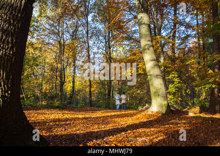 Senior paar Spaziergänge durch die sonnigen Wald im Herbst Stockfoto