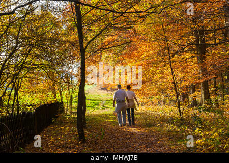 Senior paar Spaziergänge durch die sonnigen Wald im Herbst Stockfoto